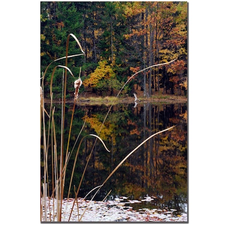Kurt Shaffer 'Serene Sylvan Pond' Canvas Art,16x24